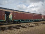 BRAD PCT-060752-5